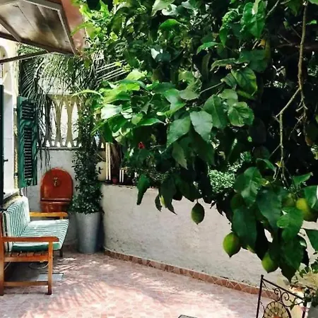 Apartment Little Lemon Garden