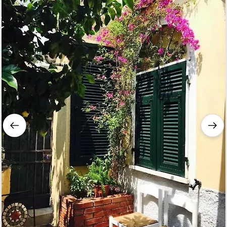 Little Lemon Garden Apartment
